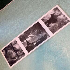 Paris Floral Eiffel Tower Black & White Triple Art print